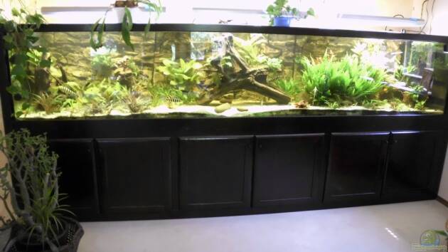 Zum Beispiel Becken 5816