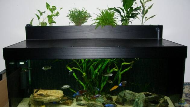 Zum Beispiel Becken 585