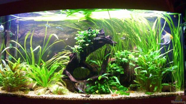 Zum Beispiel Becken 6022