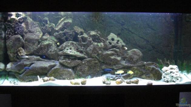 Zum Beispiel Becken 6271