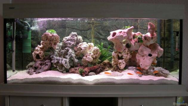 Zum Beispiel Becken 6406