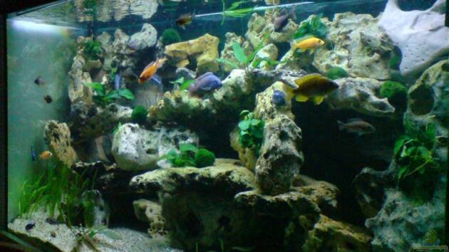 Zum Beispiel Becken 6558