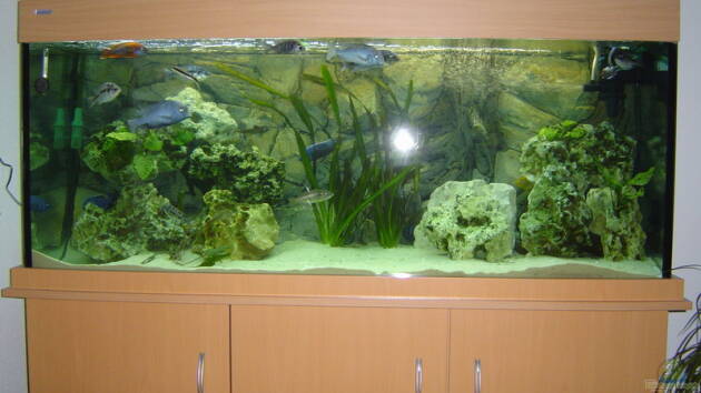 Zum Beispiel Becken 666