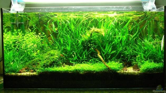 Zum Beispiel Becken 6856