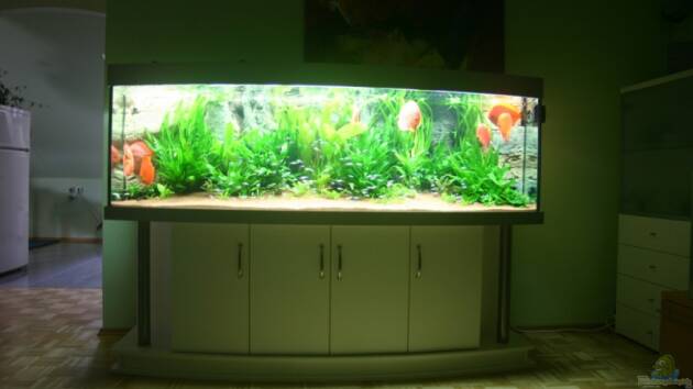 Zum Beispiel Becken 6860