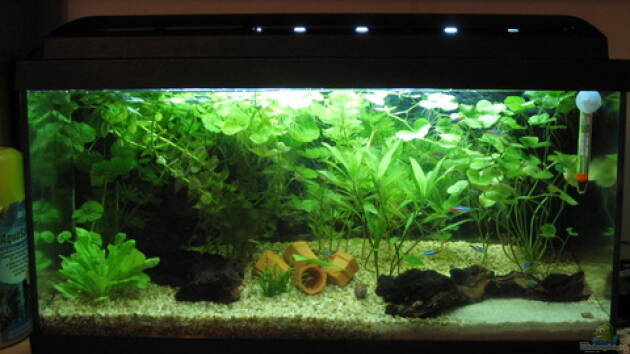 Zum Beispiel Becken 6933