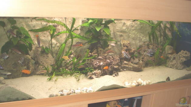 Zum Beispiel Becken 711