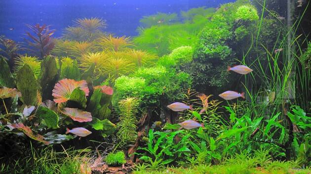 Zum Beispiel Becken 7172 nicht mehr aktiv