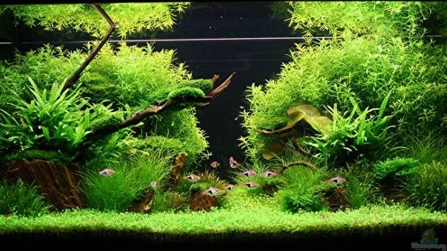 Zum Beispiel Becken 7220