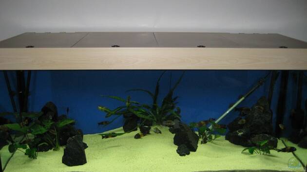 Zum Beispiel Becken 7284