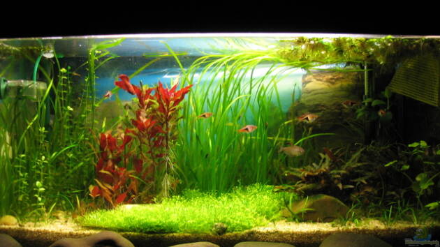 Zum Beispiel Becken 7365