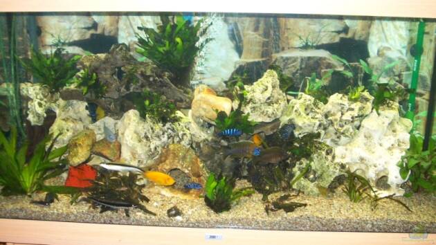 Zum Beispiel Becken 7368