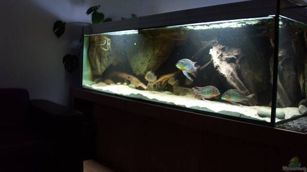 Zum Beispiel Becken 7410