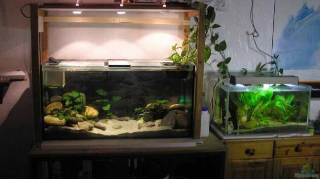 Zum Beispiel Becken 745