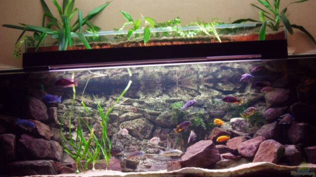 Zum Beispiel Becken 7709