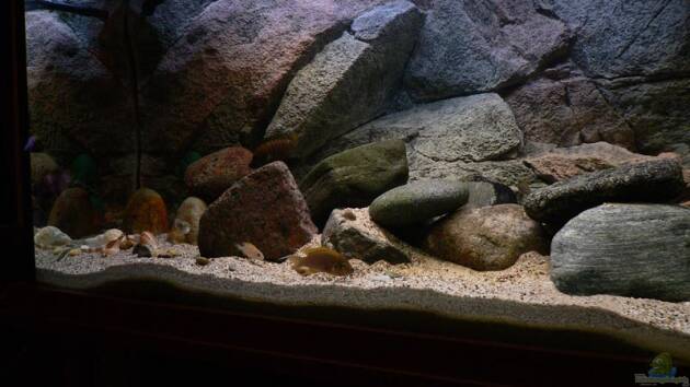 Zum Beispiel Becken 771