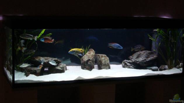 Zum Beispiel Mein Becken