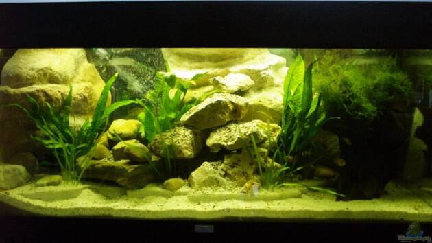 Zum Beispiel Becken 7850