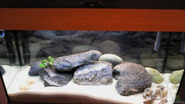 Zum Beispiel Becken 788