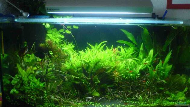 Zum Beispiel Becken 793