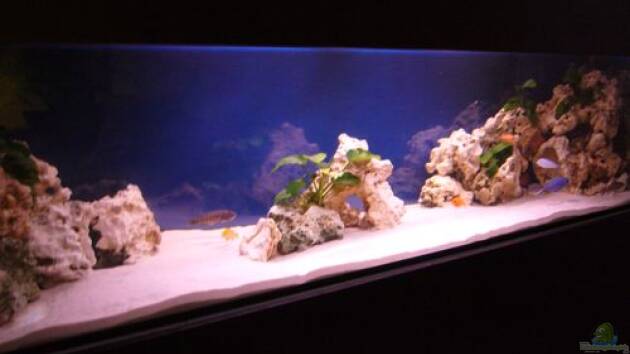 Zum Beispiel Becken 7944