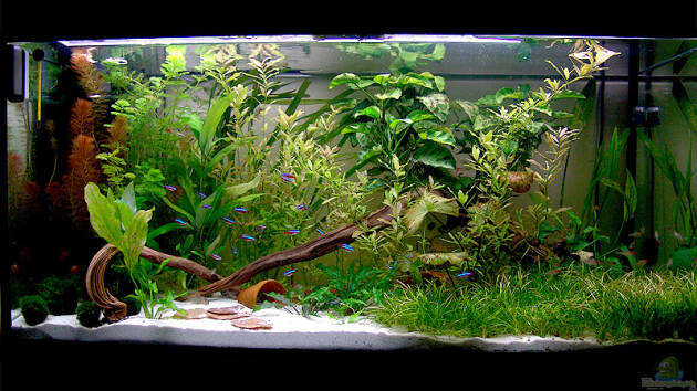 Zum Beispiel Becken 8026