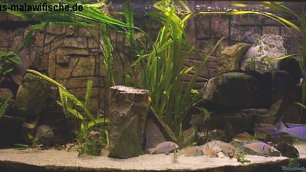 Zum Beispiel Becken 806