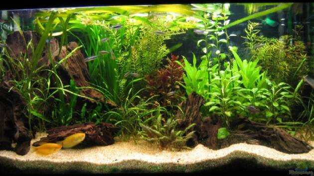 Zum Beispiel Becken 8297