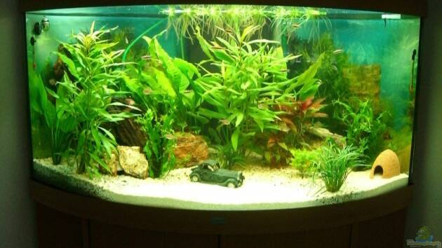 Zum Beispiel Becken 8407