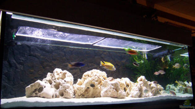 Zum Beispiel Becken 846