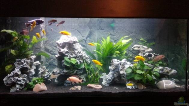 Zum Beispiel Malawi Tank