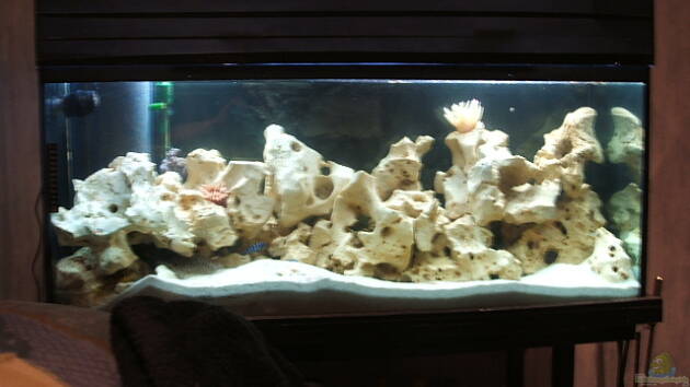 Zum Beispiel Becken 8996