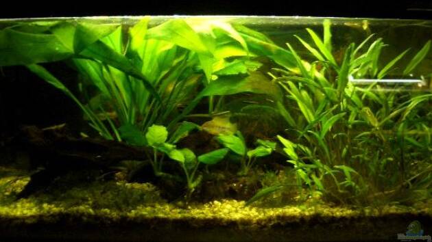 Zum Beispiel Becken 9018