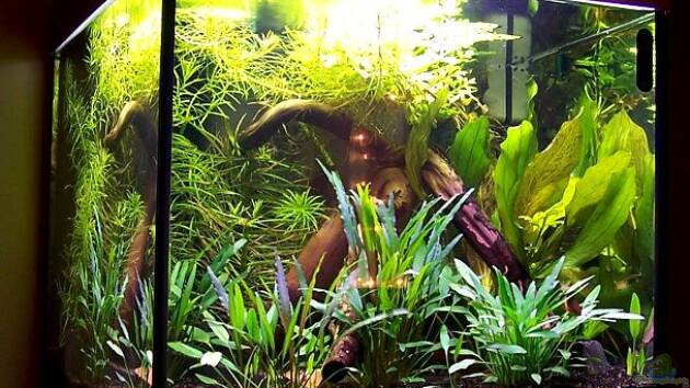 Zum Beispiel Becken 906