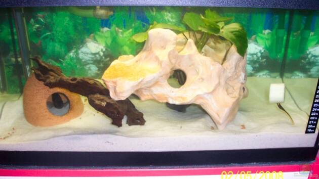 Zum Beispiel Becken 9072