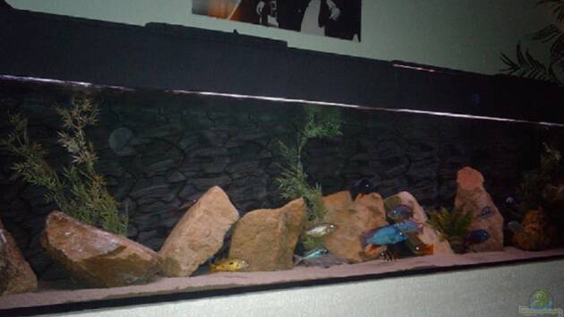 Zum Beispiel Becken 9182