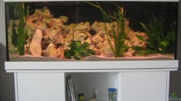 Zum Beispiel Becken 9341