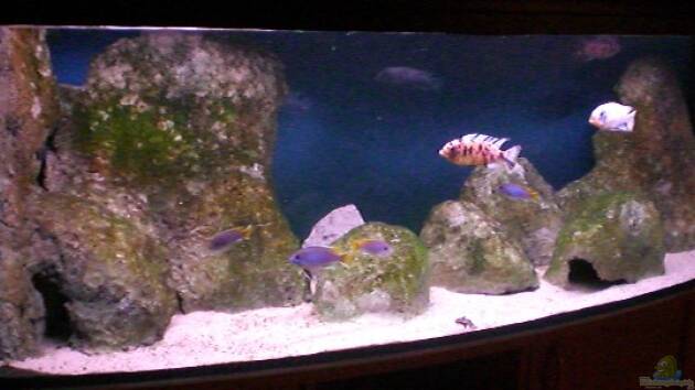 Zum Beispiel Becken 9369