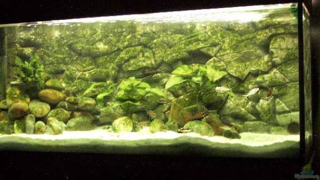 Zum Beispiel Becken 94