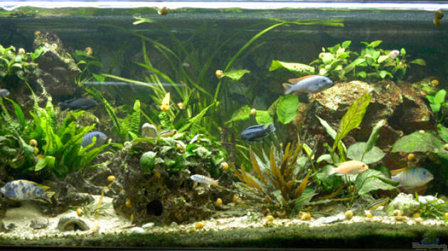 Zum Beispiel Becken 941