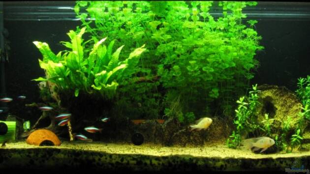 Zum Beispiel Becken 9444