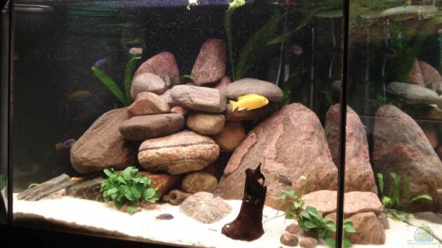 Zum Beispiel Becken 9554