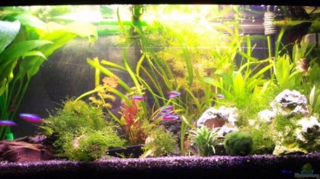 Zum Beispiel Becken 9838