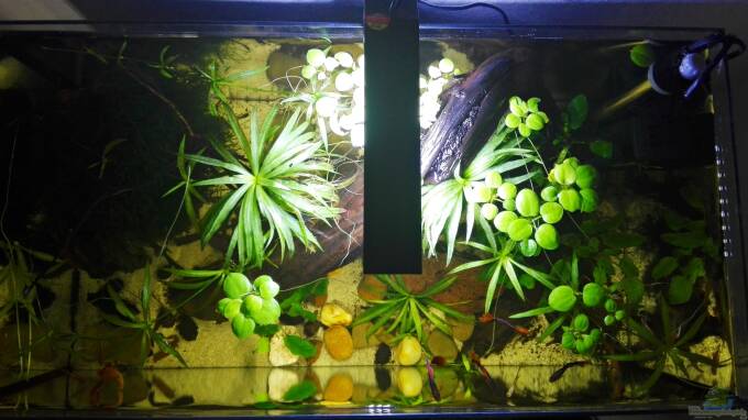 Becken Ansicht von oben aus Südamerika Becken mit der Zielrichtung