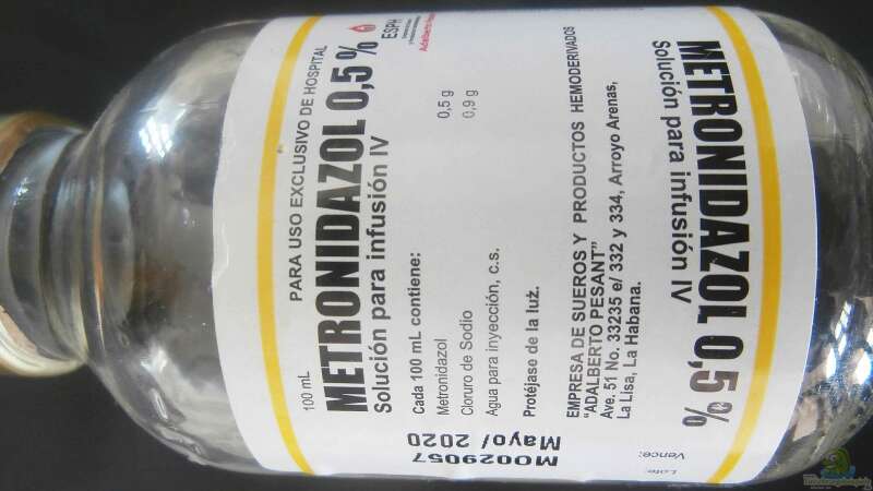 Metronidazol gegen Fischkrankheiten (Verwendung von Metronidazol in der Aquaristik)