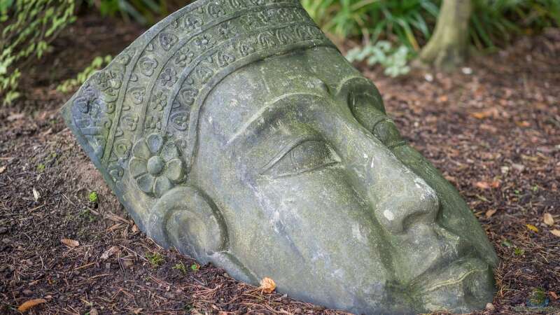 Harmonie im Terrarium: Gestaltung nach Feng Shui