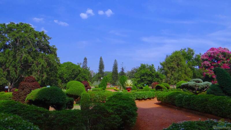 Rolle, Funktion und Nutzen: Welche Bedeutung haben Botanische Gärten?