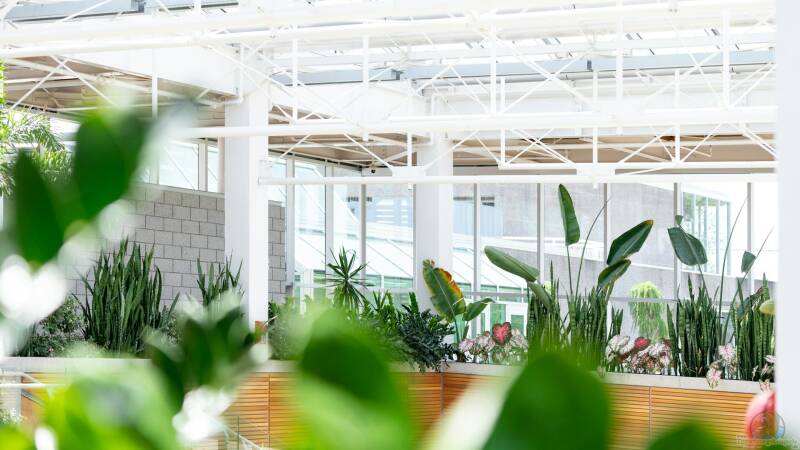 Optimale Beleuchtungskonzepte für Ihren Indoor-Garten