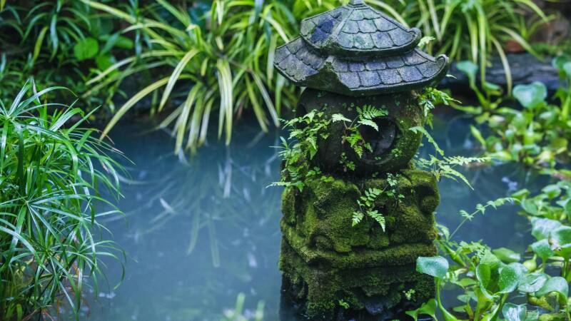 Das Hobby Gartenteich: Ein umfassender Überblick über Zahlen, Trends und Entwicklungen