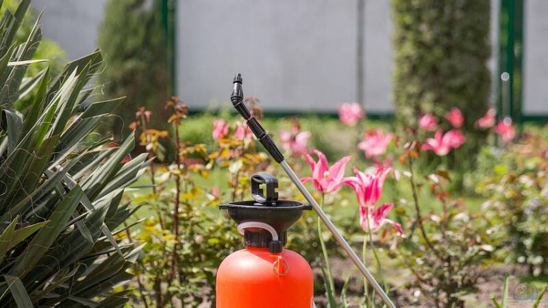 Begriffe erklärt: Was sind Insektizide?